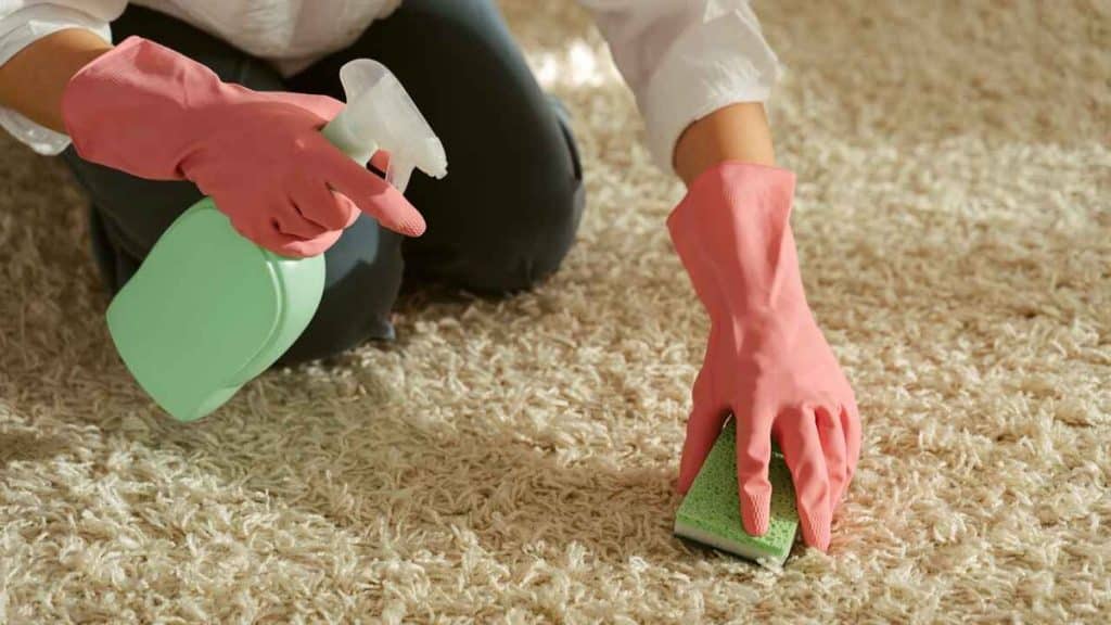 What Are Some of the Most Common Carpet Cleaning Mistakes?
