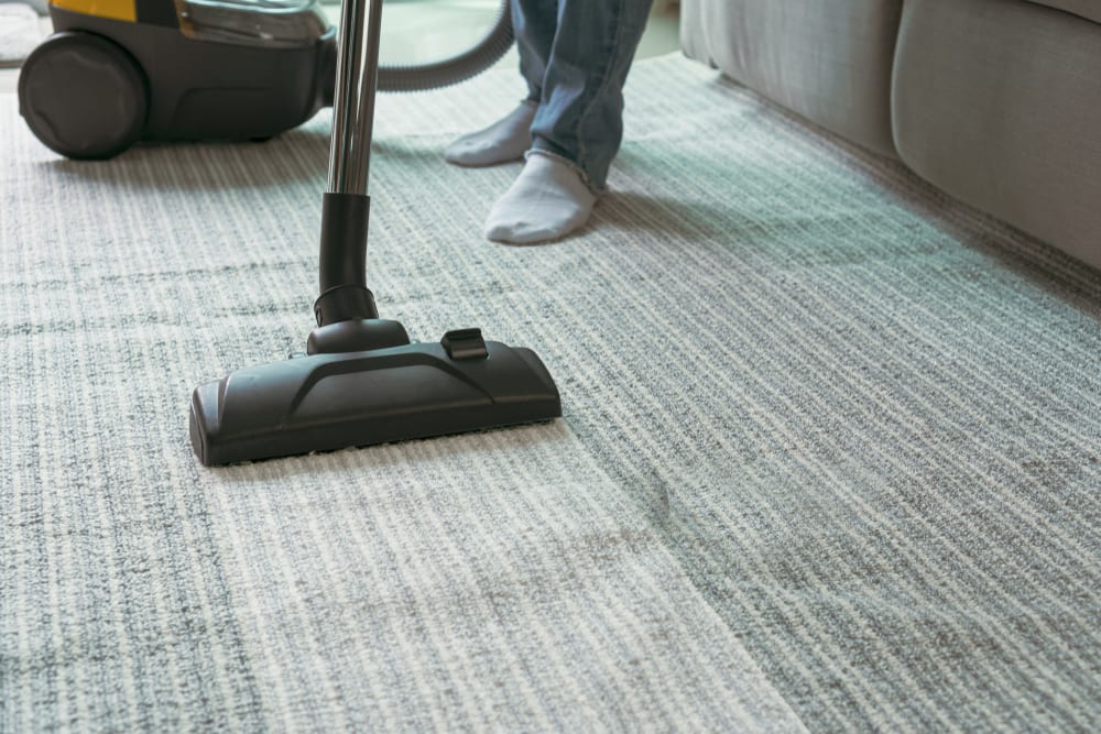 Expert Carpet Cleaning In Hampton
