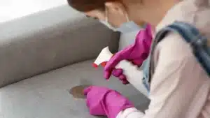 Odor Removal Services