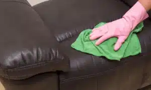 Leather Cleaning Services