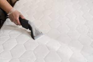 Carpet Cleaning